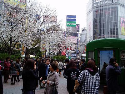 今日の東急デハ5001号の状況(57)_f0030574_23493764.jpg