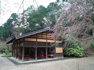 b0140276_1011211.jpg