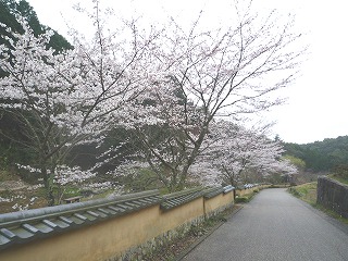 b0140276_10135253.jpg