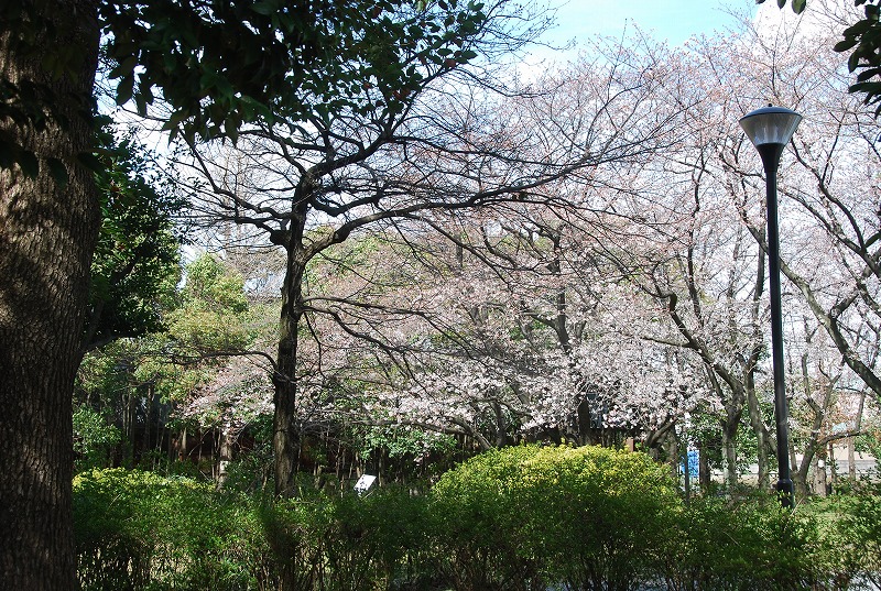 c0187781_57077.jpg