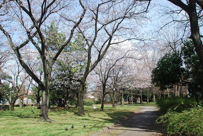 c0187781_58076.jpg