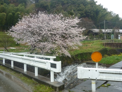 雨の夜須町。【1】_e0188087_0134125.jpg