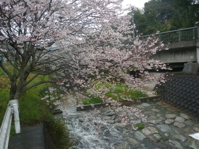 雨の夜須町。【1】_e0188087_0151915.jpg