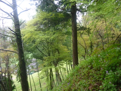 雨の夜須町。【3】 「宝満宮」から降りていきます。_e0188087_0562285.jpg