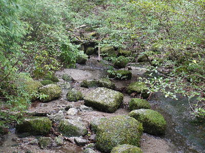 c0171889_0163321.jpg