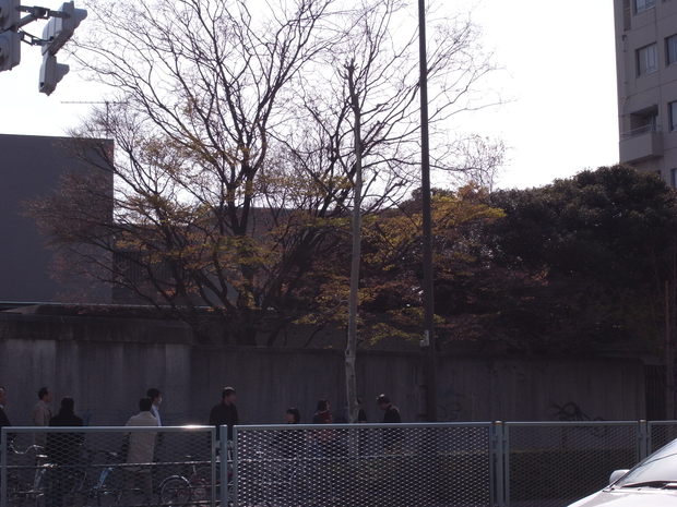 さよなら白井晟一 虚白庵/シミリエ姫_c0195791_14463387.jpg
