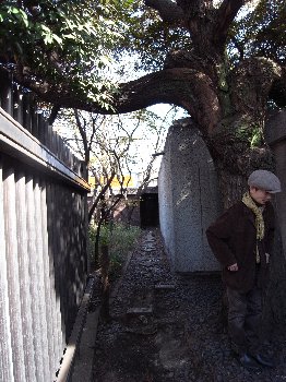 さよなら白井晟一 虚白庵/シミリエ姫_c0195791_1564116.jpg