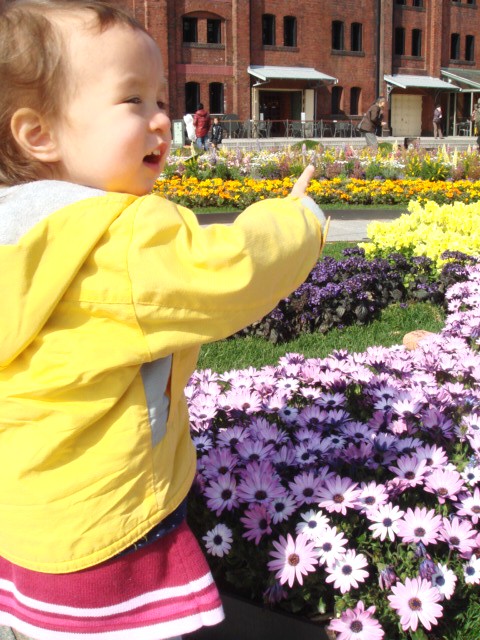 c0103793_15465388.jpg