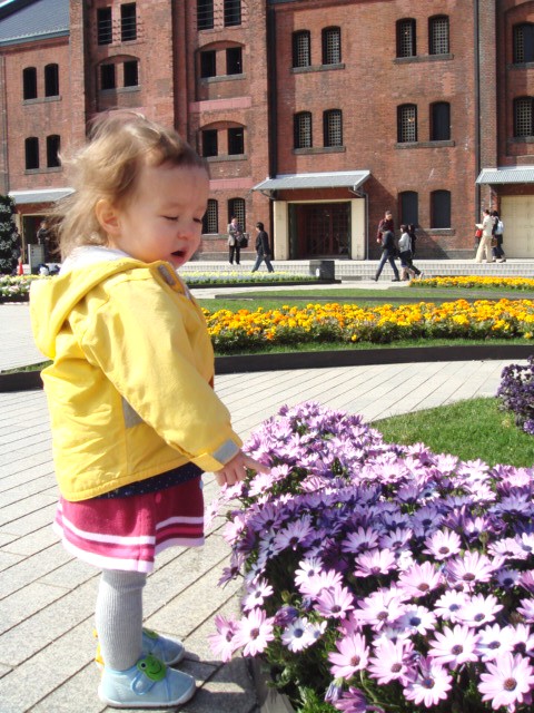 c0103793_1551459.jpg