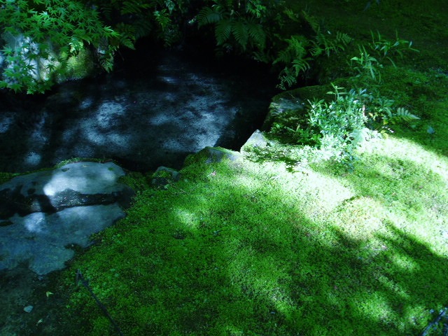 e0196993_1129146.jpg