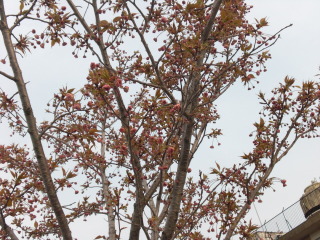 f0166694_1910404.jpg