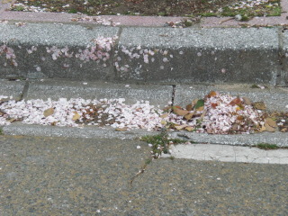 f0166694_19222567.jpg