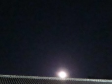 c0052304_864639.jpg