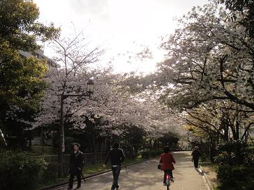 c0188904_6545851.jpg