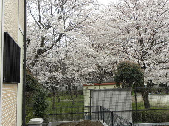 f0224506_23204794.jpg