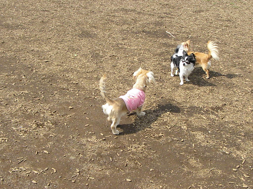 f0224506_234843.jpg