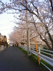 e0136609_23331644.jpg