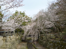 f0054610_1136875.jpg