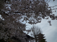 f0054610_11373748.jpg