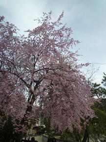 f0054610_11382275.jpg