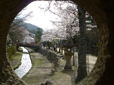 f0054610_11411254.jpg