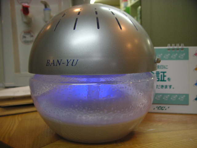 4月!_a0112220_1932945.jpg