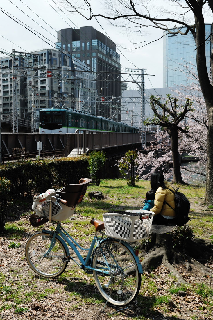 花より電車_c0189822_1973027.jpg