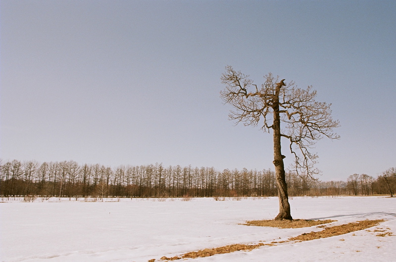 f0182924_122524.jpg