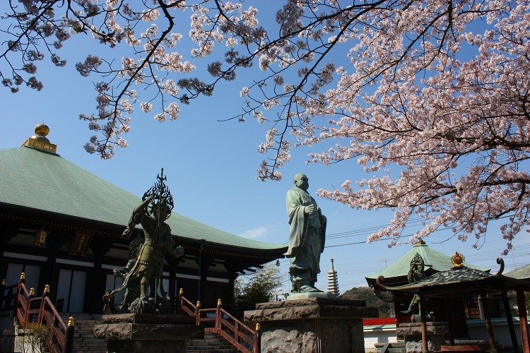 長勝寺の桜_d0085025_22203117.jpg