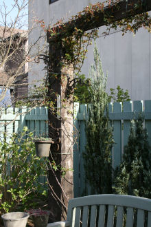 f0002534_21371111.jpg