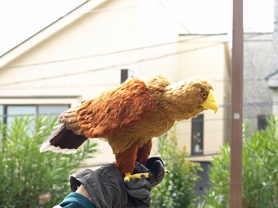 c0191646_2362237.jpg