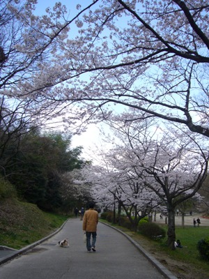 e0100046_1651228.jpg