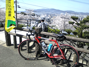f0229250_21481737.gif