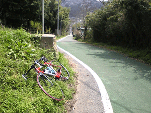 f0229250_217541.gif