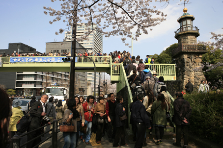 東京桜_a0086851_2282118.jpg