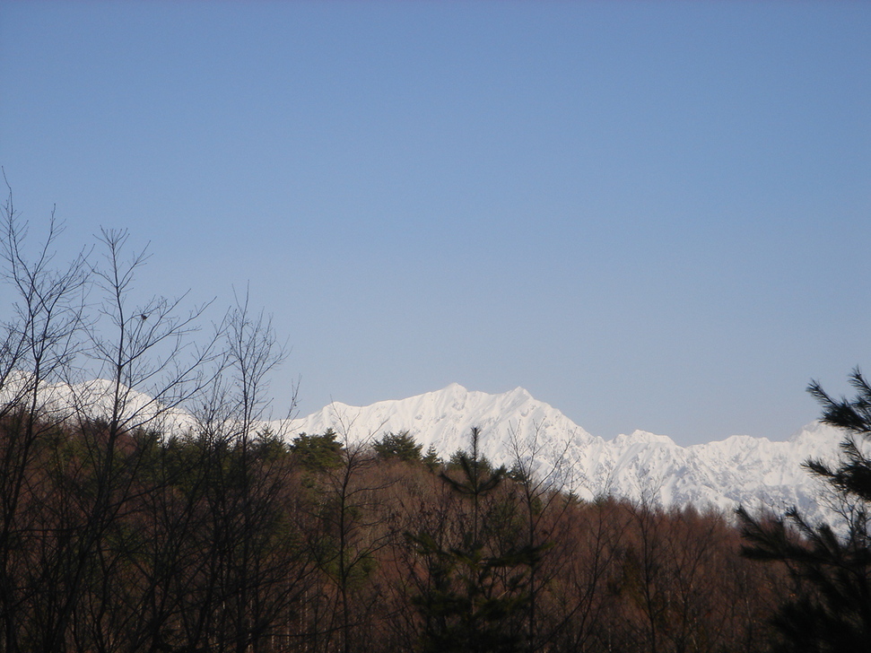 f0209354_15255290.jpg