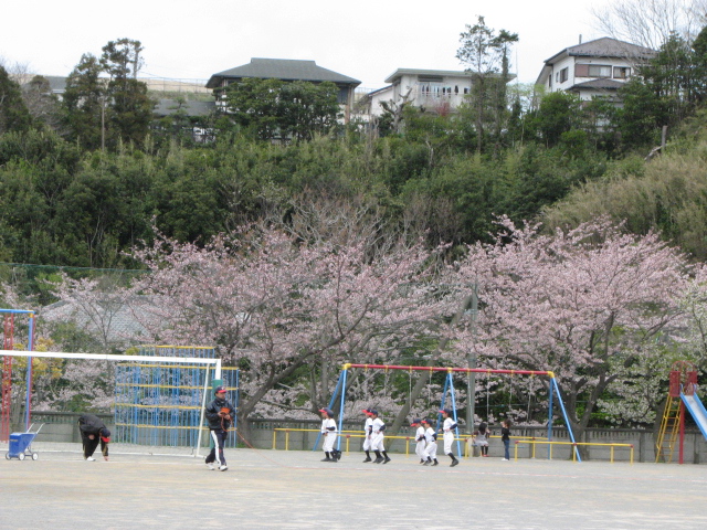 2010.4.3 新人戦大会_a0101855_1895017.jpg