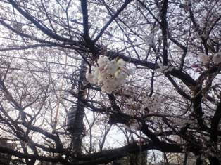 第26回例会のご案内_b0160959_236312.jpg