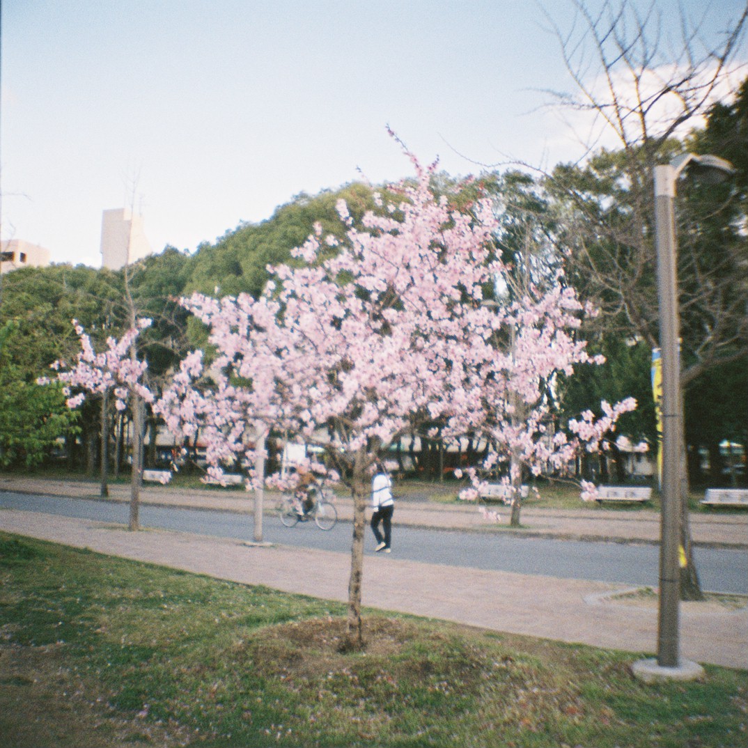 f0209159_10354584.jpg