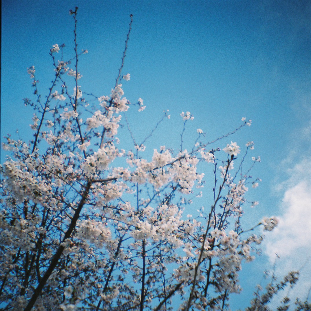 f0209159_10381170.jpg