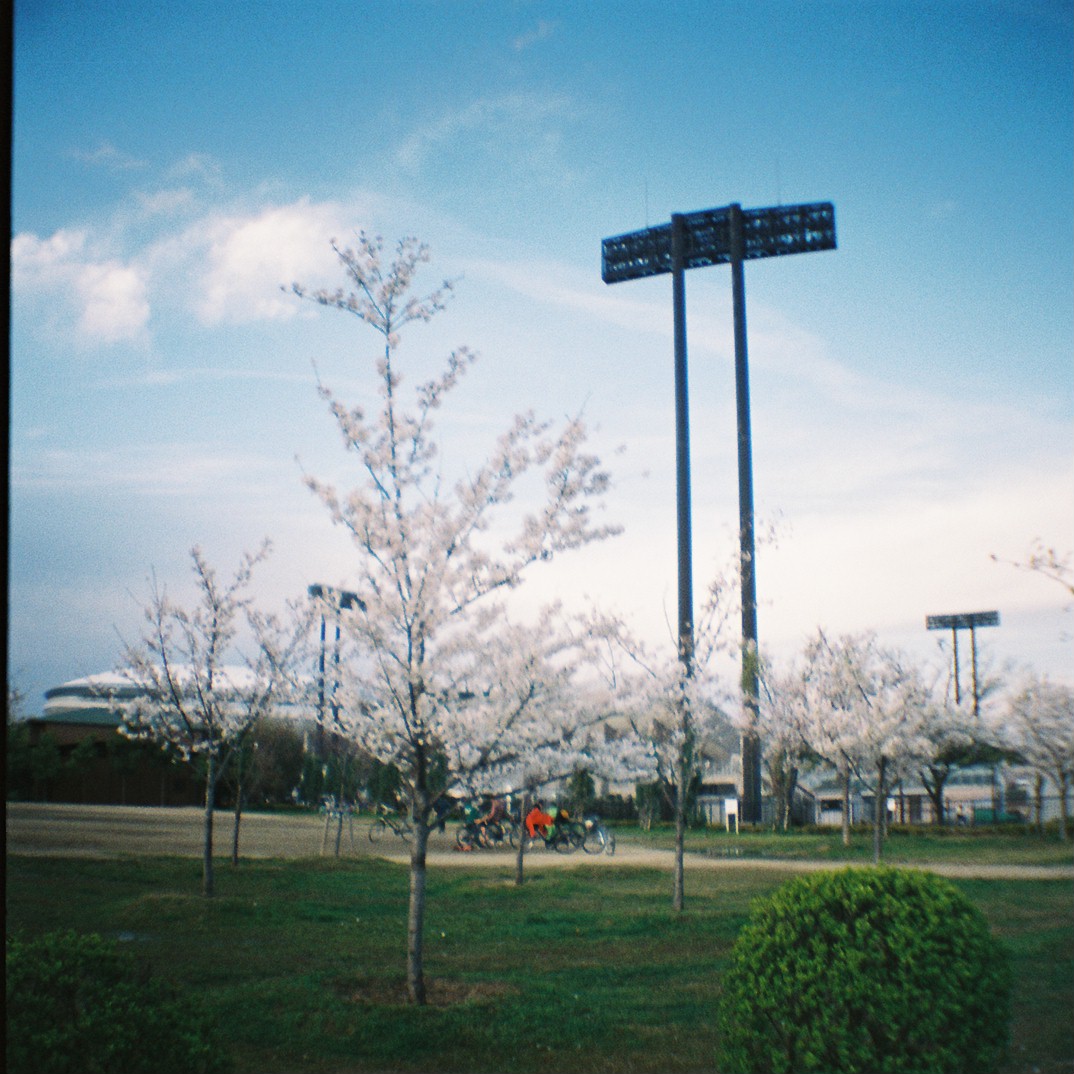 f0209159_10392849.jpg