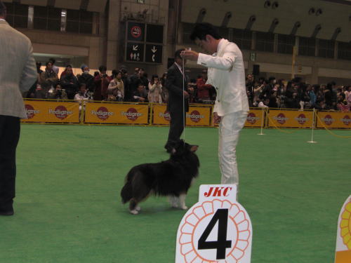 2010ジャパンインター_f0126965_2236844.jpg