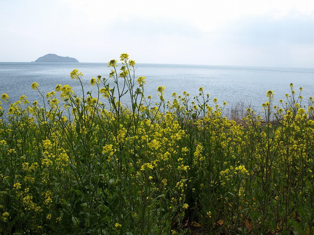 d0054276_19405568.jpg