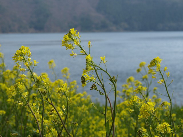 d0054276_19412444.jpg