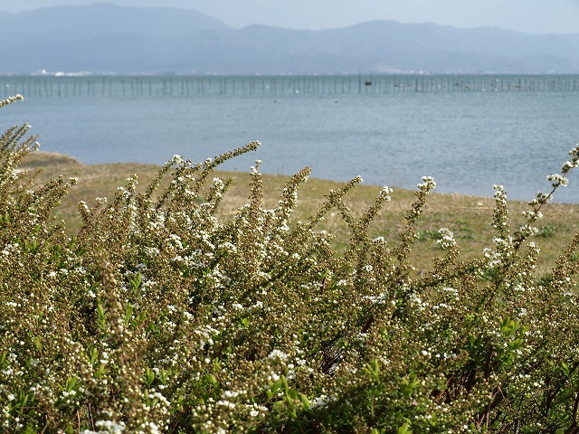 d0054276_19424123.jpg