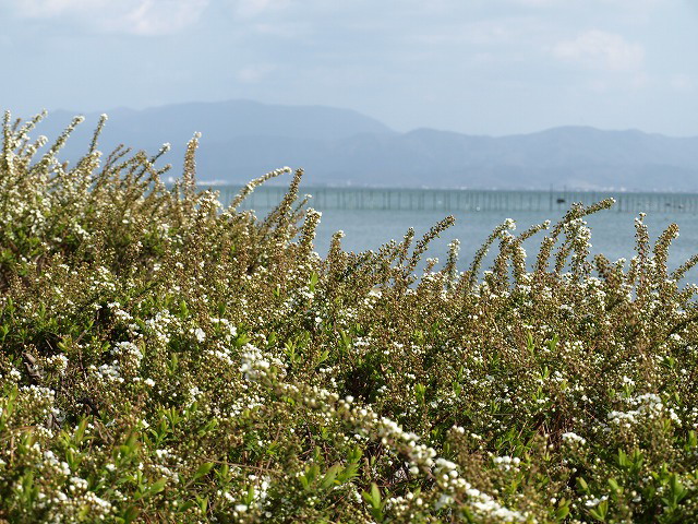 d0054276_19425594.jpg
