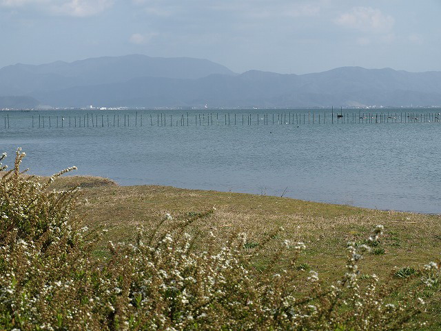d0054276_19432813.jpg