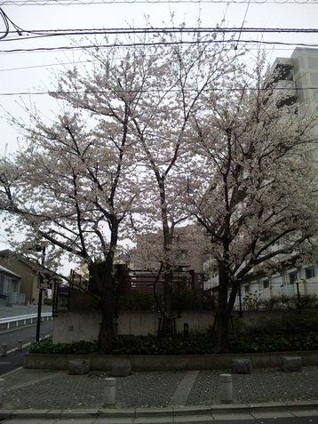 f0218182_22371084.jpg