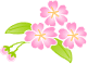 b0136683_953186.gif
