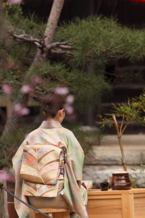 水戸の枝垂桜を訪ねる　＜１＞　六地蔵寺_e0143883_21555856.jpg